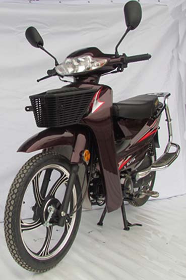 三力SL110-A两轮摩托车图片