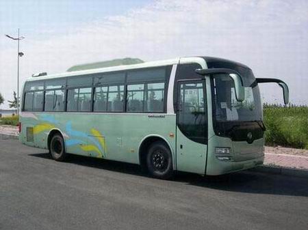 黄海9.5米24-48座客车(DD6950K61)