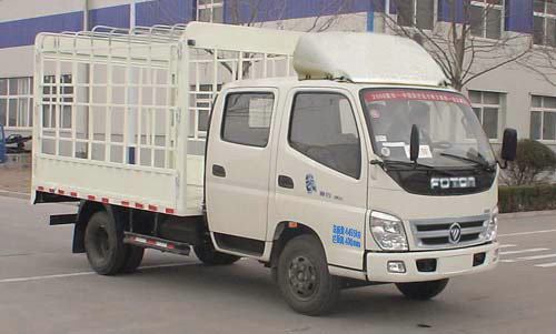 福田牌BJ5049V8DDA-3仓栅式运输车公告图片