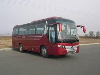 黄海DD6896K13客车公告图片
