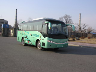 黄海8米24-35座客车(DD6807C01)