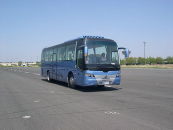 黄海10.8米24-58座客车(DD6119C31)