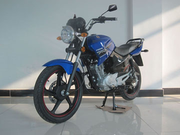 飞肯 飞剑王 FK125-10G两轮摩托车图片