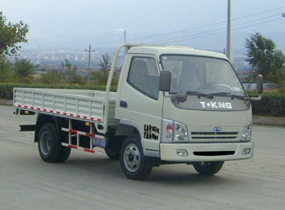 欧铃 91马力 载货汽车(ZB1073LDD3S)