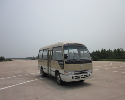 东宇NJL6606YF4轻型客车公告图片