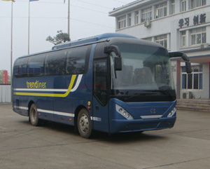 大汉8.6米24-39座旅游客车(CKY6860H3)