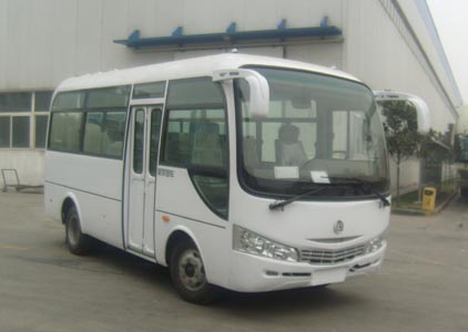 凌宇6米10-19座轻型客车(CLY6600DJA)