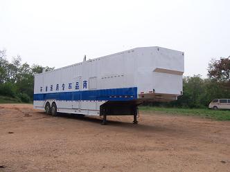 香雪14.2米10吨车辆运输半挂车(BS9200TCL)