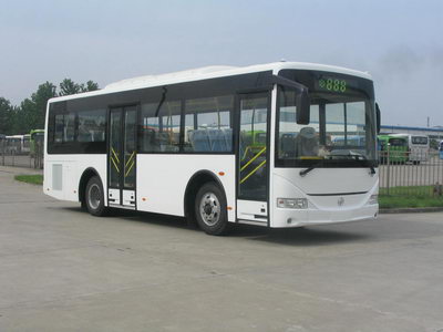 亚星9米12-35座城市客车(JS6906GHJ)
