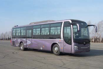 黄海11.9米24-67座客车(DD6129K63)