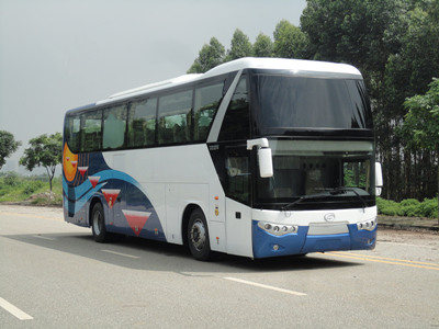 飞驰FSQ6112DCB客车图片