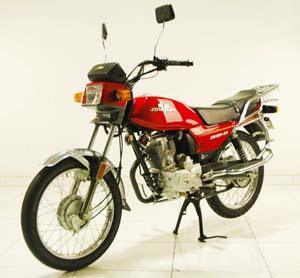 宗申ZS150-6S两轮摩托车图片