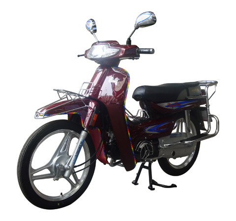 凌肯LK110-3E两轮摩托车图片