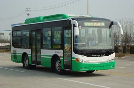 中通9米10-34座城市客车(LCK6900HGN)