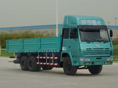 陕汽SX1255TN504载货汽车公告图片