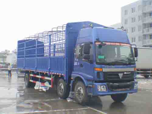 福田牌BJ5253VMPGH-1仓栅式运输车公告图片
