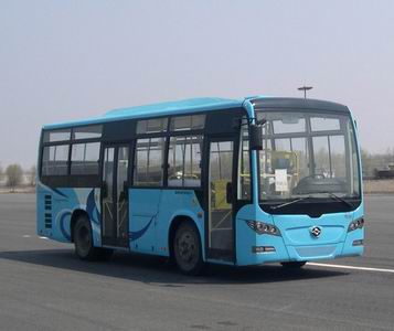 黄海DD6810S23城市客车公告图片