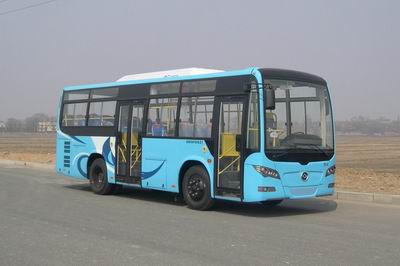 黄海8.1米15-30座城市客车(DD6810S22)