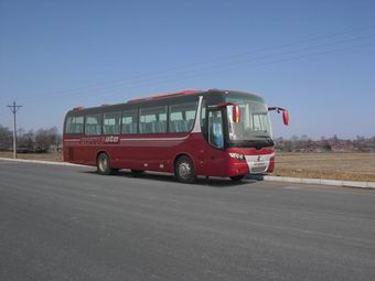 黄海10.8米24-62座客车(DD6119K50)