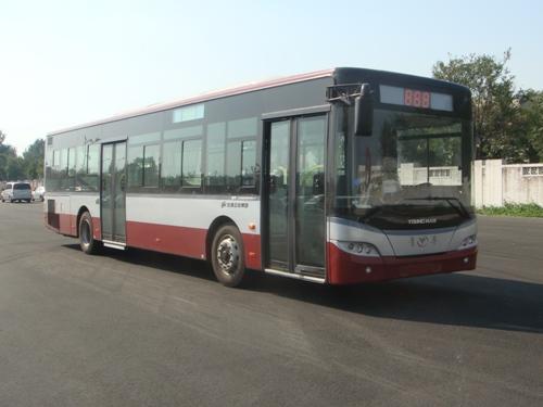 青年12米23-46座豪华城市客车(JNP6120GV1)