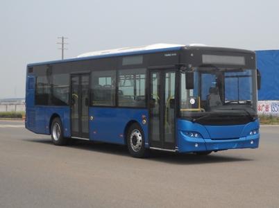 青年10.5米10-40座豪华城市客车(JNP6105GC)