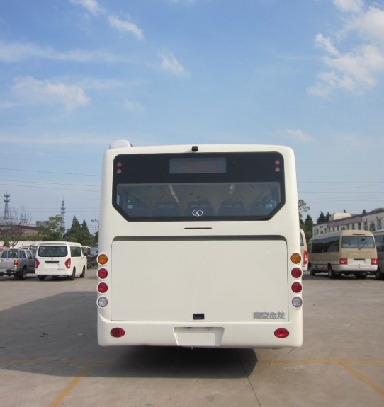 东宇NJL6119G城市客车公告图片
