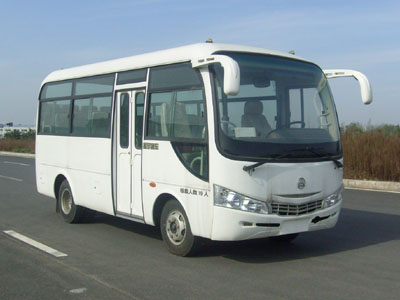 凌宇6米10-19座轻型客车(CLY6600DB)