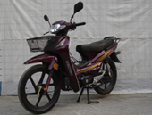 亚洲英雄AH110-9A两轮摩托车公告图片