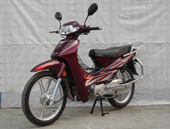 嘉渝JY110-9A两轮摩托车图片