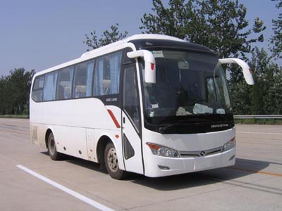 金龙8.5米24-35座客车(XMQ6859BYD4C)