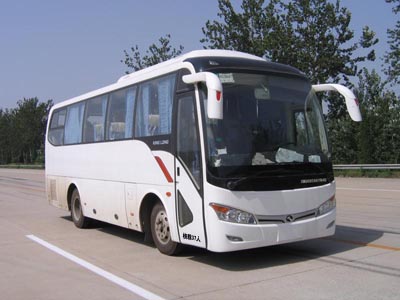 金龙8.5米24-37座客车(XMQ6859AYN4D)