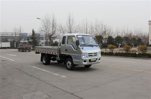 福田BJ1032V3PA3-N2载货汽车图片