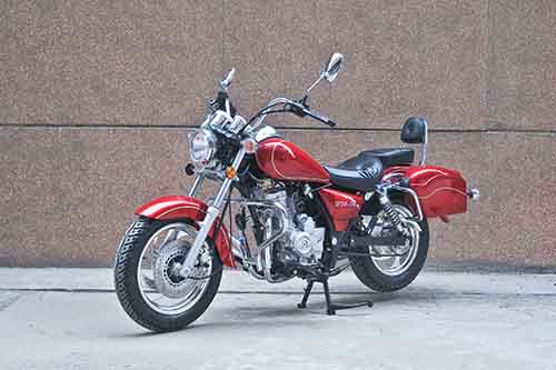 先锋XF150L-24B两轮摩托车图片