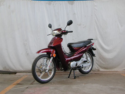 东力  TN110-C两轮摩托车图片