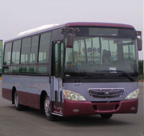 野马SQJ6861B1N5城市客车公告图片