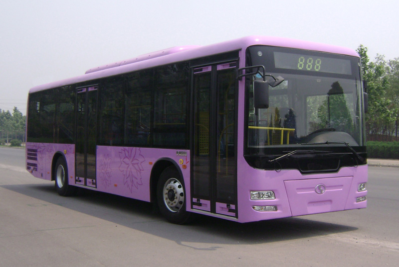 少林SLG6120C4GZR城市客车公告图片