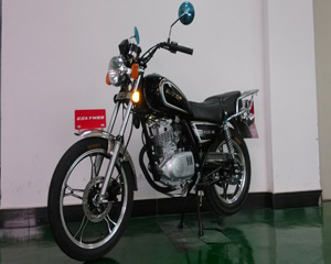 联统LT125-5G两轮摩托车图片