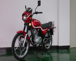 联统LT125-6G两轮摩托车图片