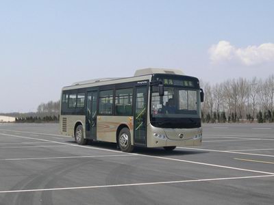 黄海DD6850G05N城市客车公告图片