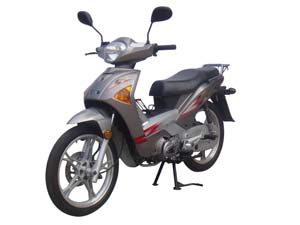 钱江QJ110-18D两轮摩托车图片