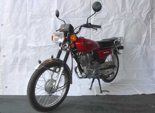 天马TM125-2E两轮摩托车图片