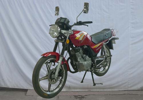 天马 天凌F TM125-4E III两轮摩托车图片