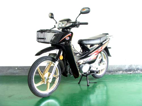 火鸟HN110-D两轮摩托车图片