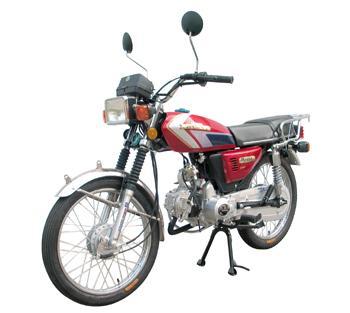 鸿宇HY100-5S两轮摩托车公告图片