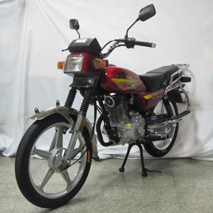 飞肯FK150-G两轮摩托车图片
