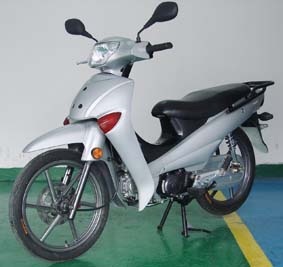 厦杏三阳XS110-6A两轮摩托车图片