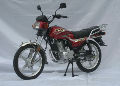 远大YD125-3V两轮摩托车图片