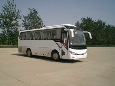金龙8.9米10-23座客车(XMQ6898Y4)
