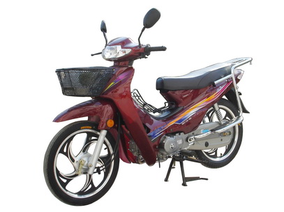 东宏DH110-4A两轮摩托车图片