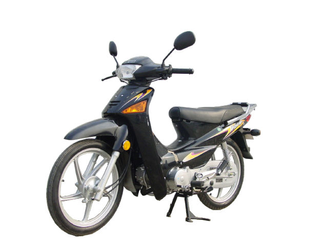 新大洲SDH100-41E两轮摩托车图片